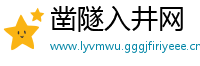 凿隧入井网